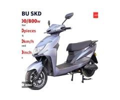 Adult Electric Motorcycle