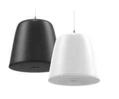 Analog Pendant Speaker 30W EN54