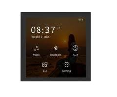 2*20W 4-inch Wall-mounted Amplifier