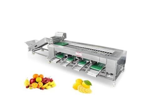 Automatic Onion Sorter Machine Grader Machine