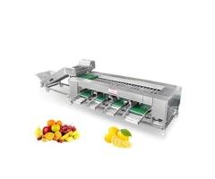 Automatic Onion Sorter Machine Grader Machine