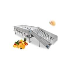 Automatic Onion Grader Machine Apple Grading Machine
