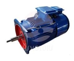 TYP Series Inverter Frequency Three Phase Permanent Magnet Synchronous Motor