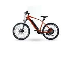 Electric iBike Sport
