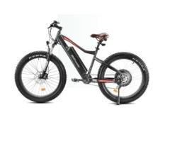 Electric iBike Cruiser