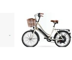Electric iBike Street