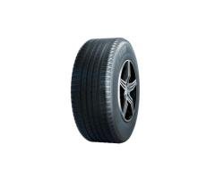 BG RAPTOR SUV Tyre