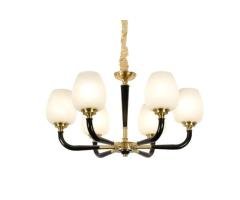 MD20214 Modern Decorative Light