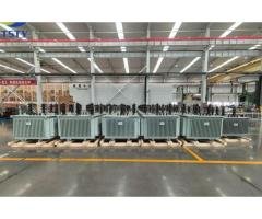 6kV–22kV Oil-Immersed Power/Distribution Transformer