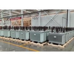 10kV Oil-Immersed Distribution Transformer