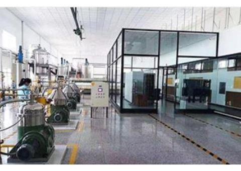 Corn Germ Oil Production Line