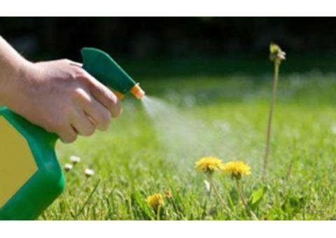 Herbicide - 2/2