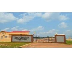 Liveso Hydropower Congo | 110kV Transmission Project
