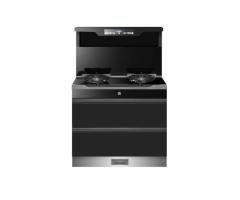 Integrated Stoves with Disinfection Function / RS02