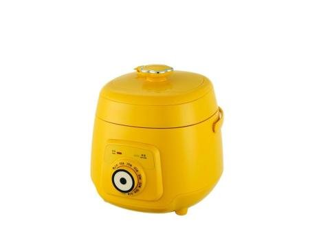 Electric Pressure Cooker - 2/2