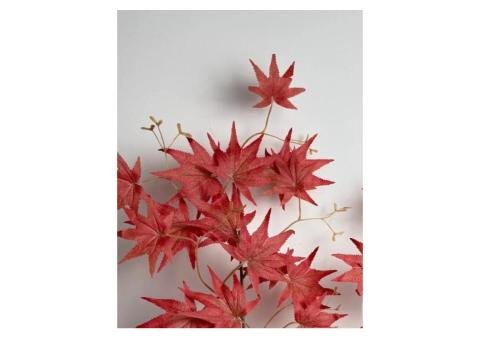 Maple Red Leaf Flower
