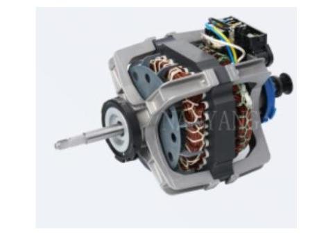 Centrifugal Switch Type Dryer Motor