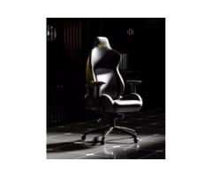 Supreme Ergonomic Chair