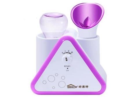 LS-201A Facial Steamer