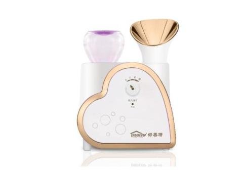 LS-202B Facial Steamer