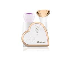 LS-202B Facial Steamer