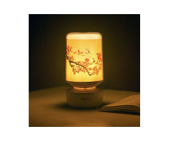 Creative Benefits of the DIY Bluetooth Speaker Lamp