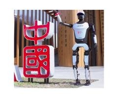 WALKER C Humanoid Service Robot