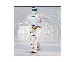 WALKER X Humanoid Service Robot