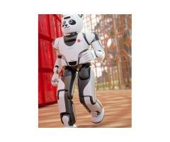 UBTECH Panda Robot