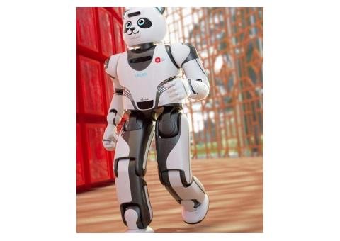 UBTECH Panda Robot - 2/2
