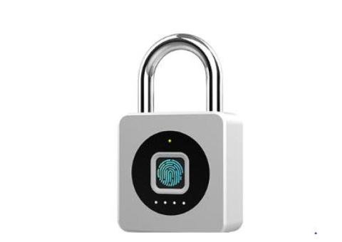 P6 Smart Device