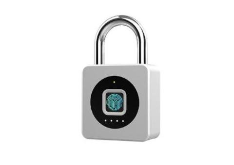 P6 Smart Device - 2/2