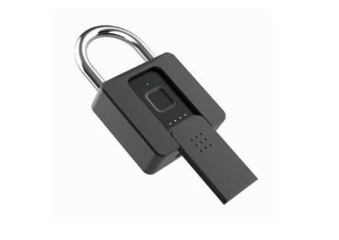 P10BFK Smart Device