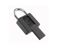 P10BFK Smart Device
