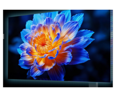 New OLED Display | 3 Breakthroughs for Stunning Visuals