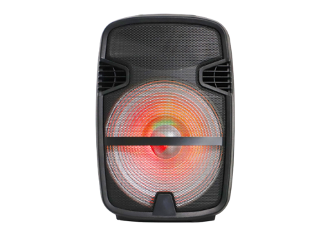 PP-6112AUN / PP-6115AUN Speakers | Bluetooth 5.3 30W Active Sound