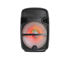 PP-6112AUN / PP-6115AUN Speakers | Bluetooth 5.3 30W Active Sound