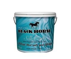 Decorative Paint, Paints – SILK COAT