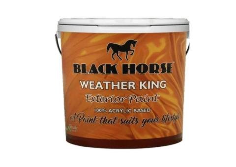 WEATHER KING PAINT