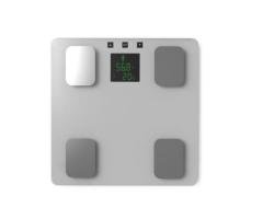 Bluetooth Body Scale