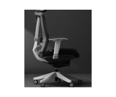 Ergo mesh V1 | buy the Premium ergonomic chair in Pakistan