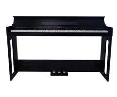 WP1005 Digital Piano