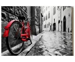 The Bold Crimson — La Bicicletta