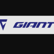 GIANT (China) Co. Ltd