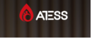 Shenzhen Atess Power Technology Co., Ltd