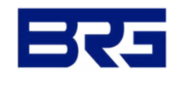 BRG EV Vehicle