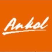 Ningbo ANKE Electrical Technology Co.,Ltd.